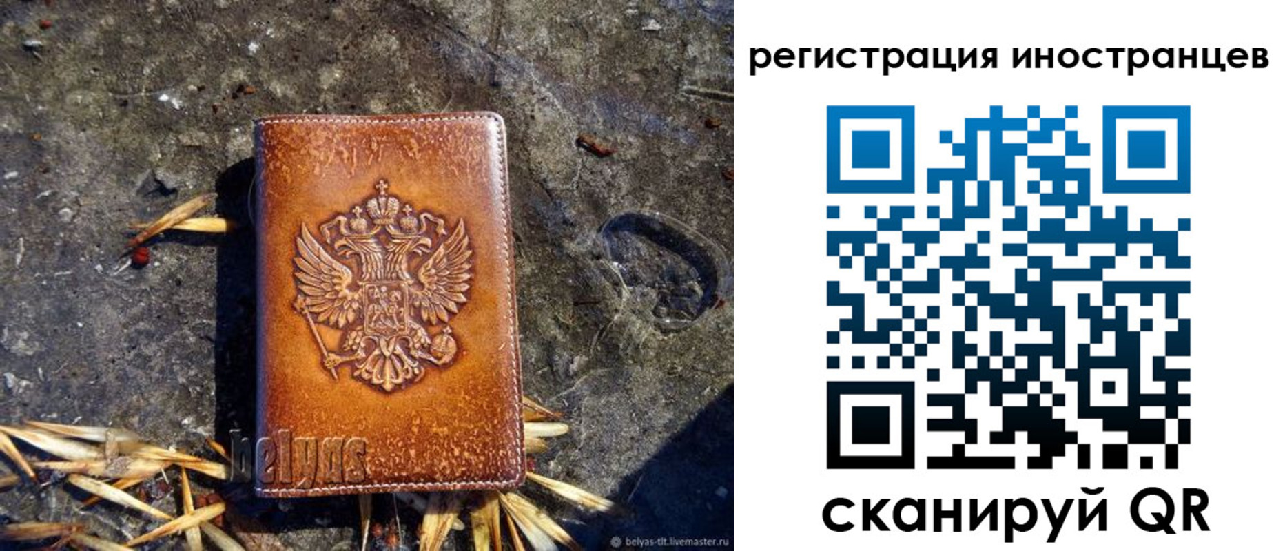 прописка регистрация в Щёкино